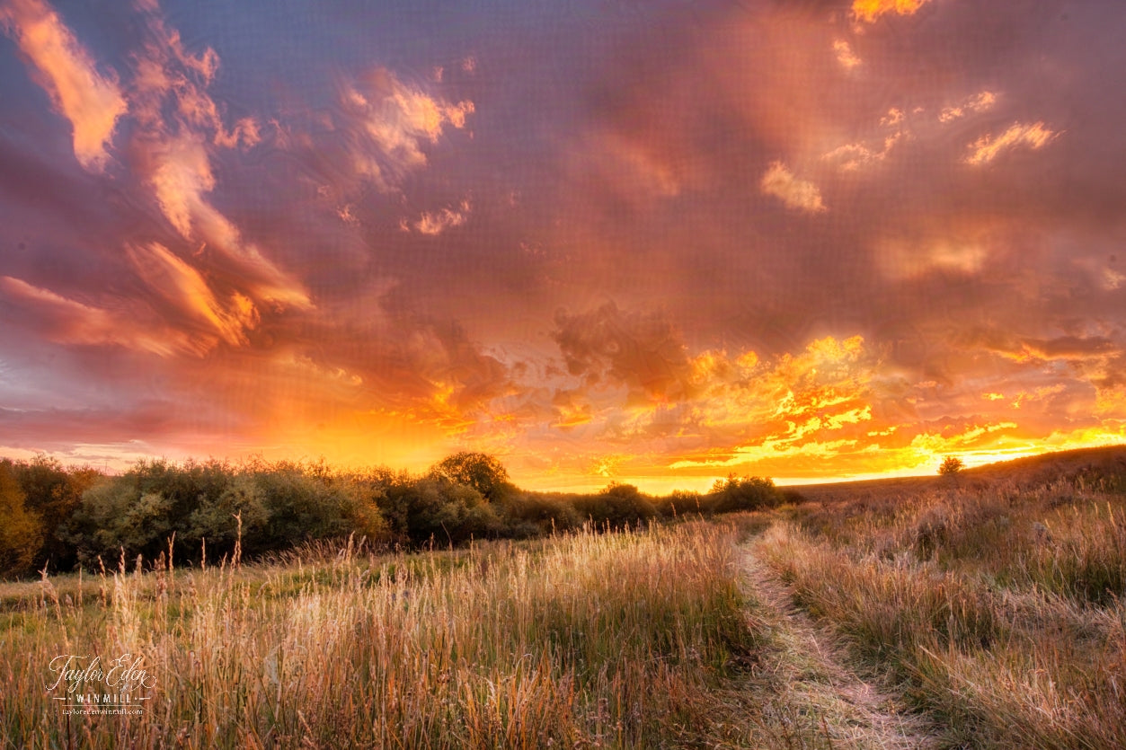 Landscape Frame TV Art 4K