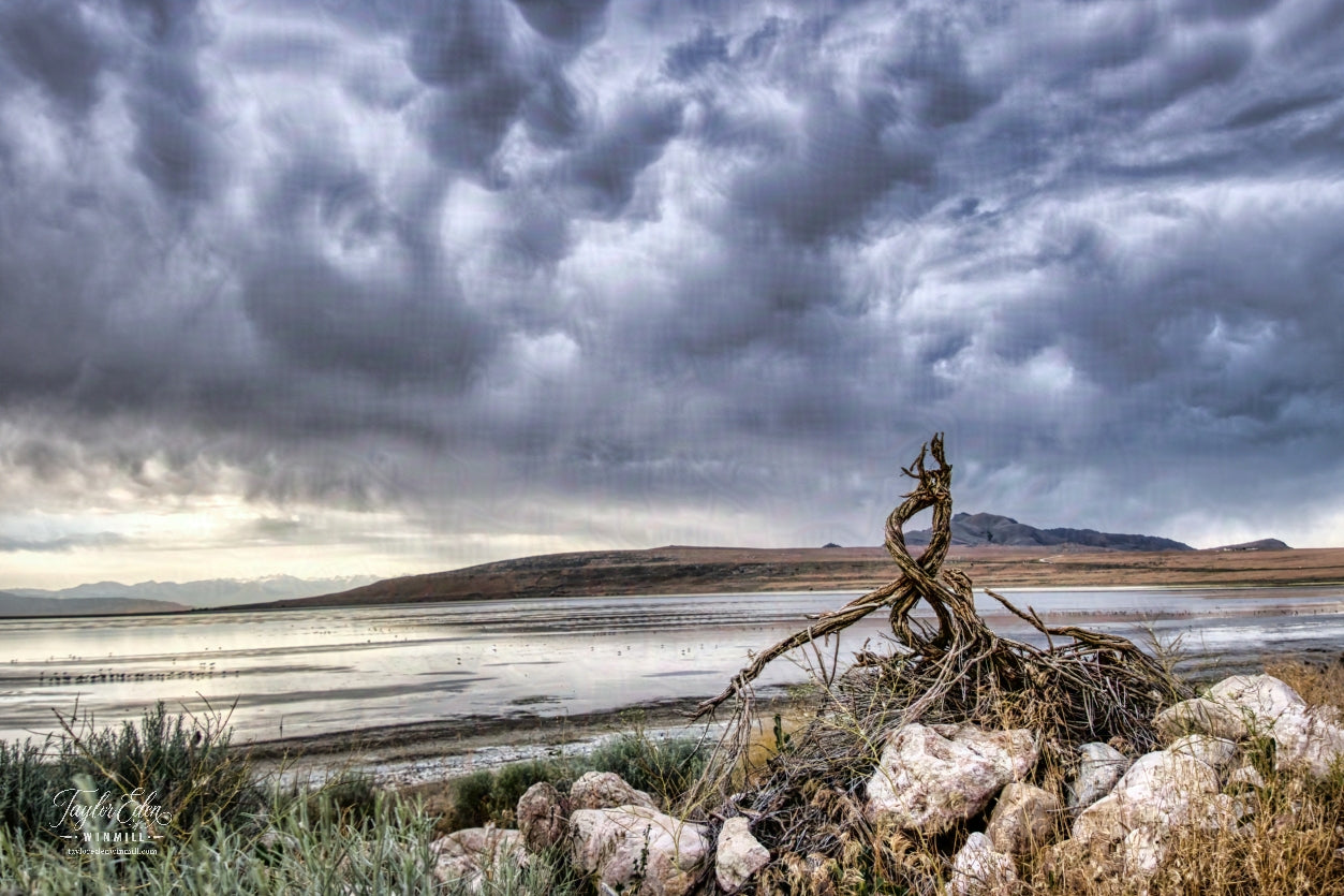Landscape Frame TV Art 4K