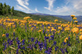 Landscape Frame TV Art 4K