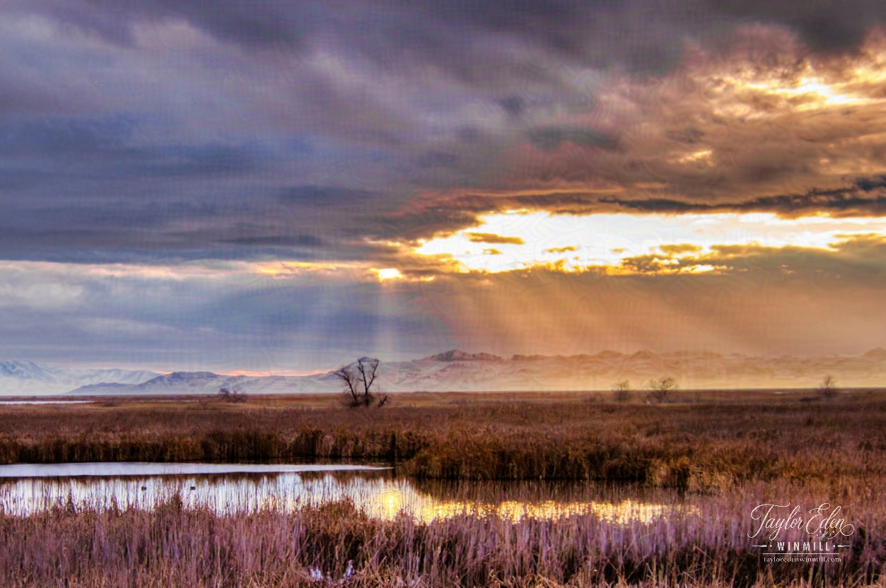 Landscape Frame TV Art 4K