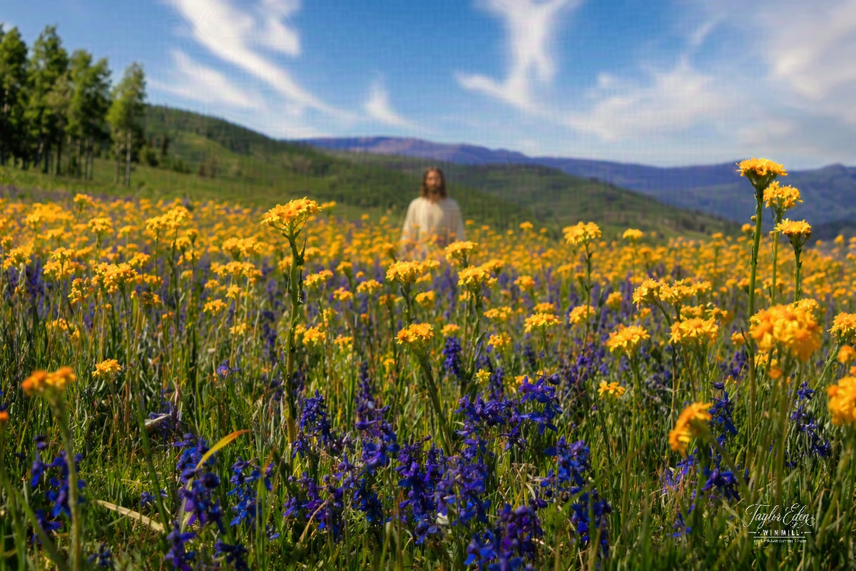 Savior in the Wildflowers at Soapstone Fine Art Print